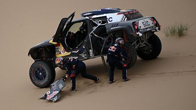 Avance Etapa 11 - 14/01/21