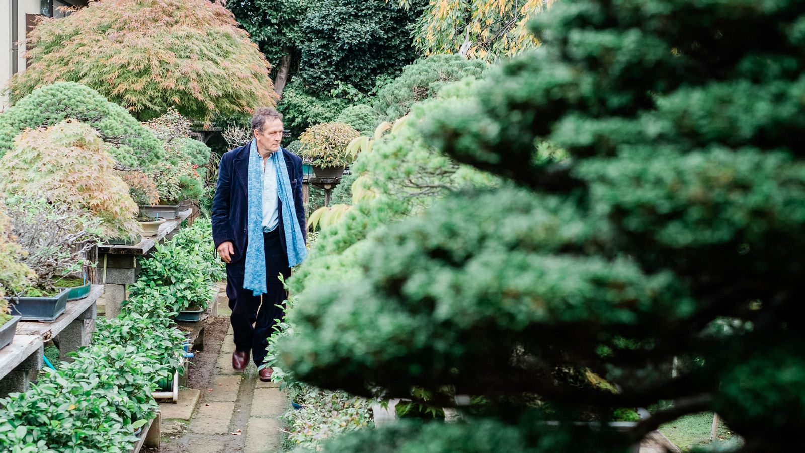 Los jardines japoneses de Monty Don - Episodio 2: Otoño - ver ahora