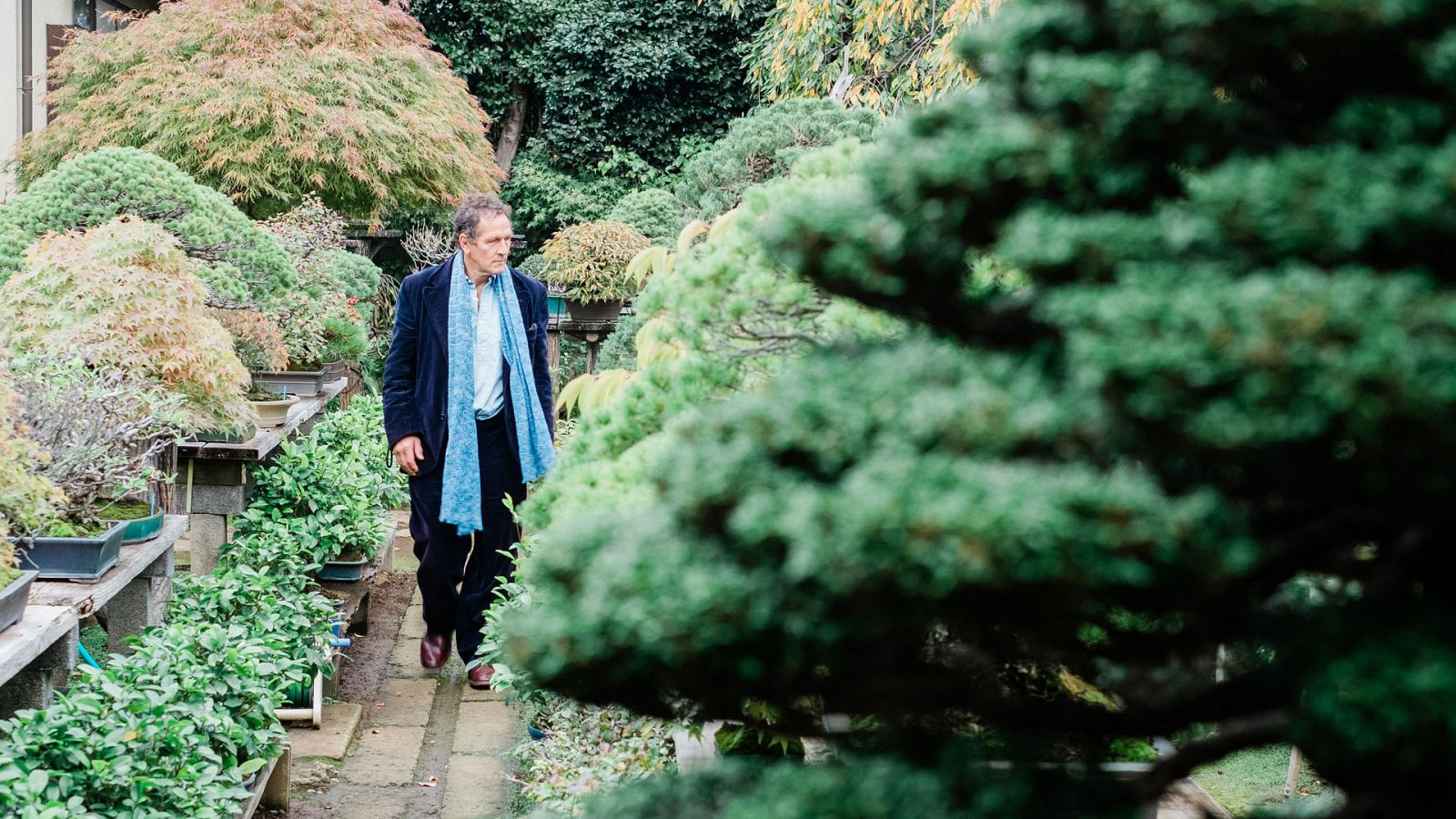 Los jardines japoneses de Monty Don - Episodio 2: Otoño - Documental en RTVE