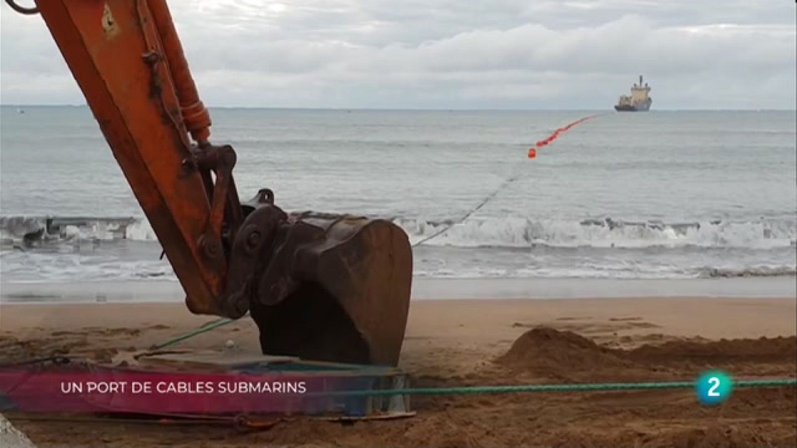 Port cables submarins, Reconnecta't, sense pantalles i Abelles, essencials  per la vida | La Metro - RTVE Catalunya