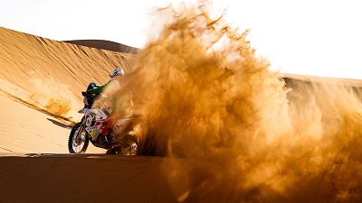 Avance Etapa 12 - 15/01/21