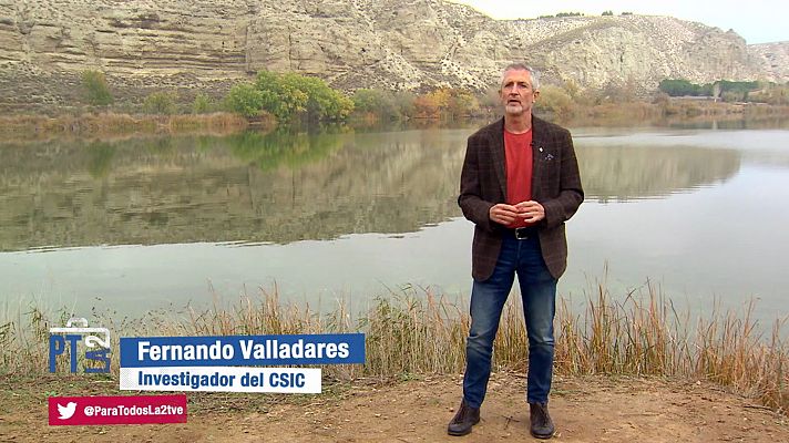 Para todos La 2 - Para todos La 2 - 16/01/21