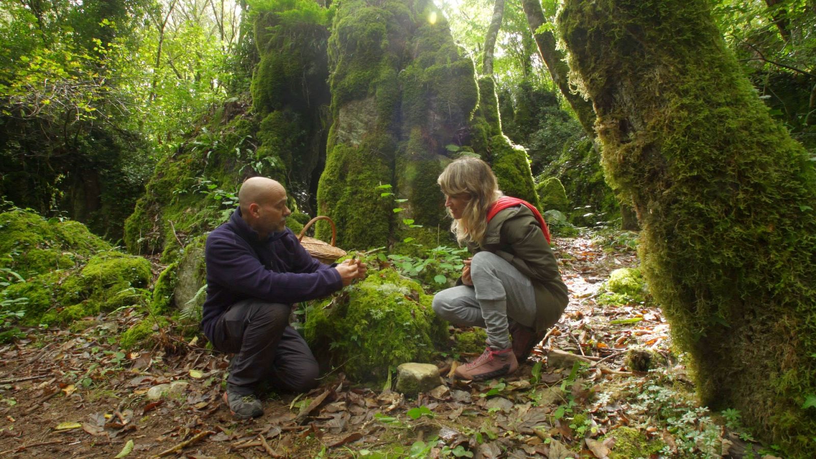 El señor de los bosques - Dos Grobos - ver ahora