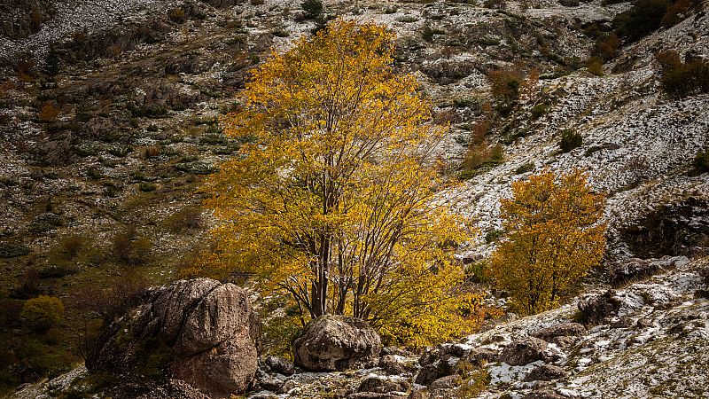 Las mínimas suben en la Meseta y bajan en Galicia, Pirineos y norte del área mediterránea 