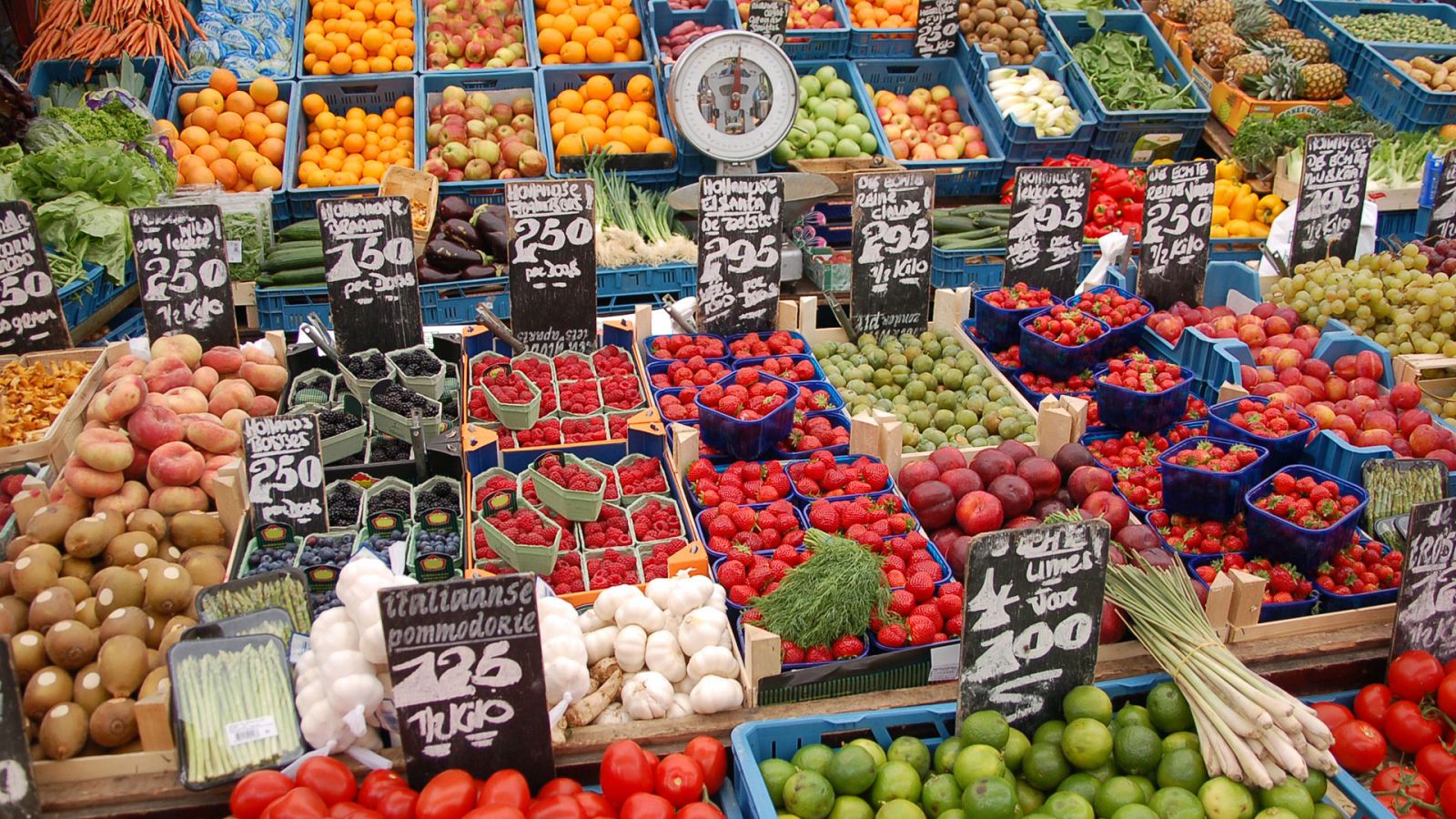 Otros documentales - Mercados, en el vientre de la ciudad: Ámsterdam, Albert Cuyp Markt - ver ahora