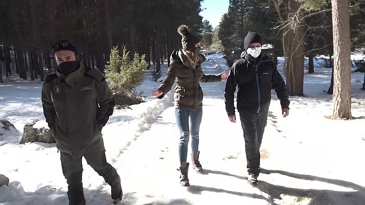 España Directo - España Directo - 19/01/21