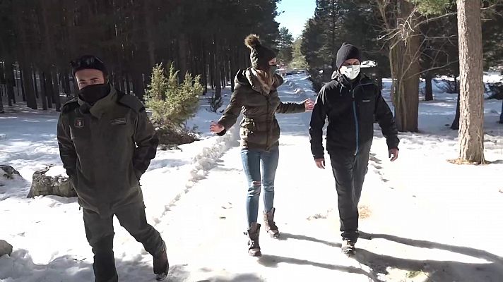 España Directo - España Directo - 19/01/21