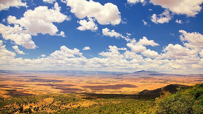 La fuerza de la vida - La falla albertina