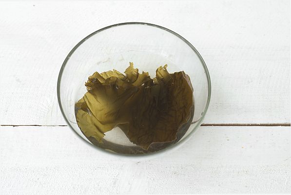 Aquí la Tierra - ¿Se pueden plantar algas fuera del mar?