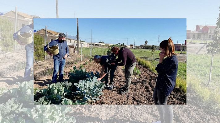 Ramón Arangüena y la búsqueda de nuevas verduras en Valencia