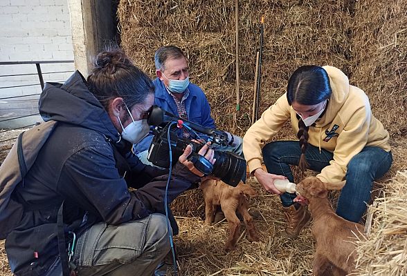 Aquí la Tierra - La cabra malagueña, una raza distinguida y noble