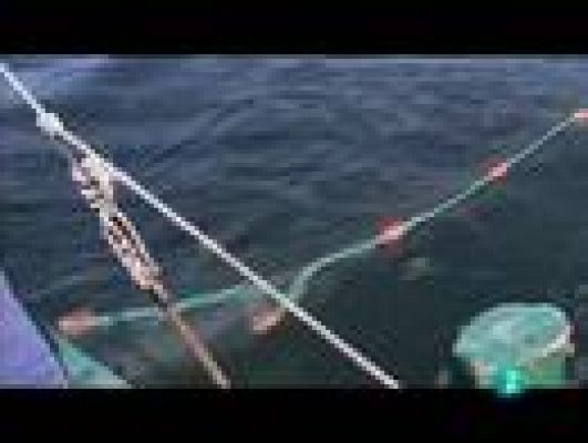  - El futuro compartido