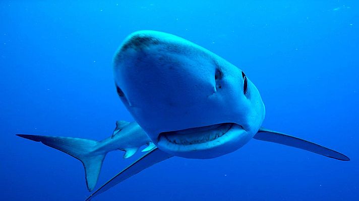 Grandes documentales - Gigantes del Atlántico. Las Islas Azores