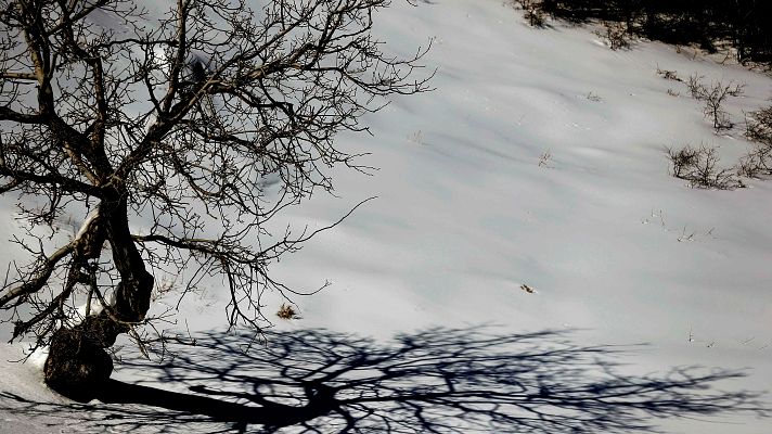 El tiempo - Viento, oleaje, nieve, deshielo y lluvia ponen  en riesgo a 42 provincias y Melilla