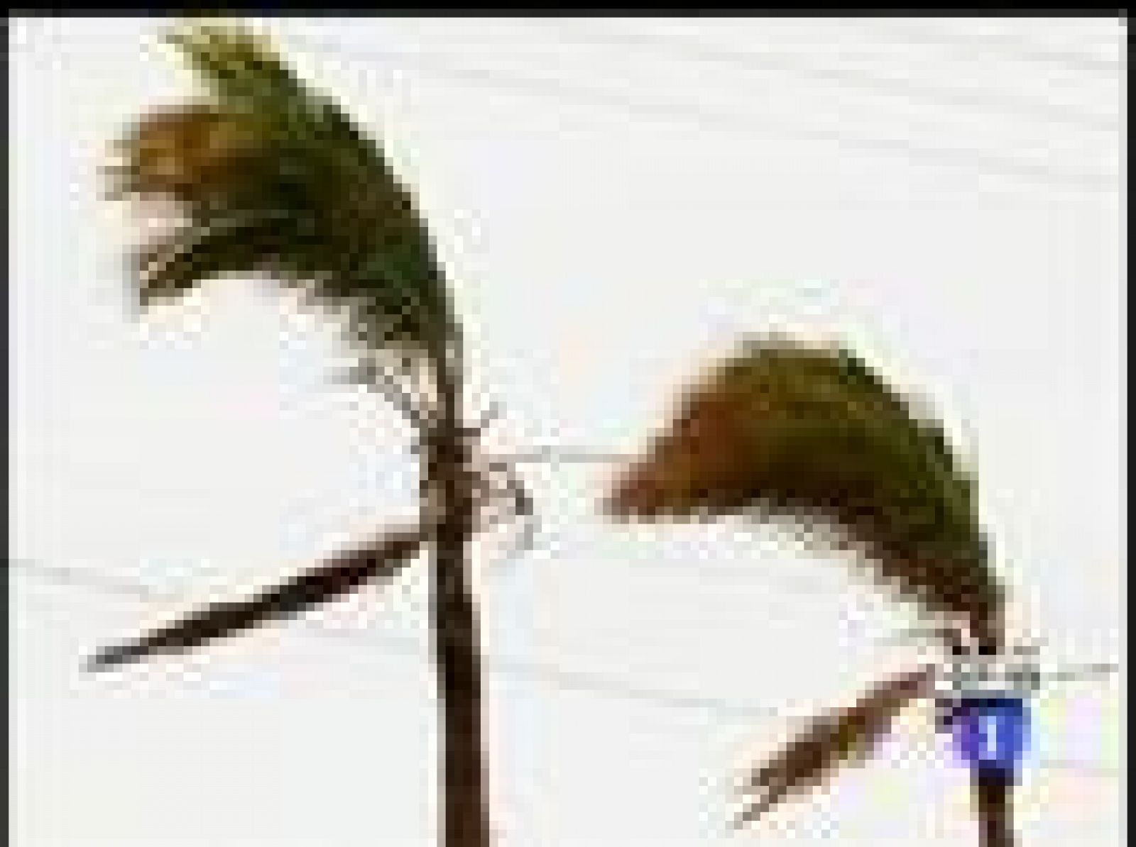 'Jimena' ya golpea el estado mexicano de Baja California