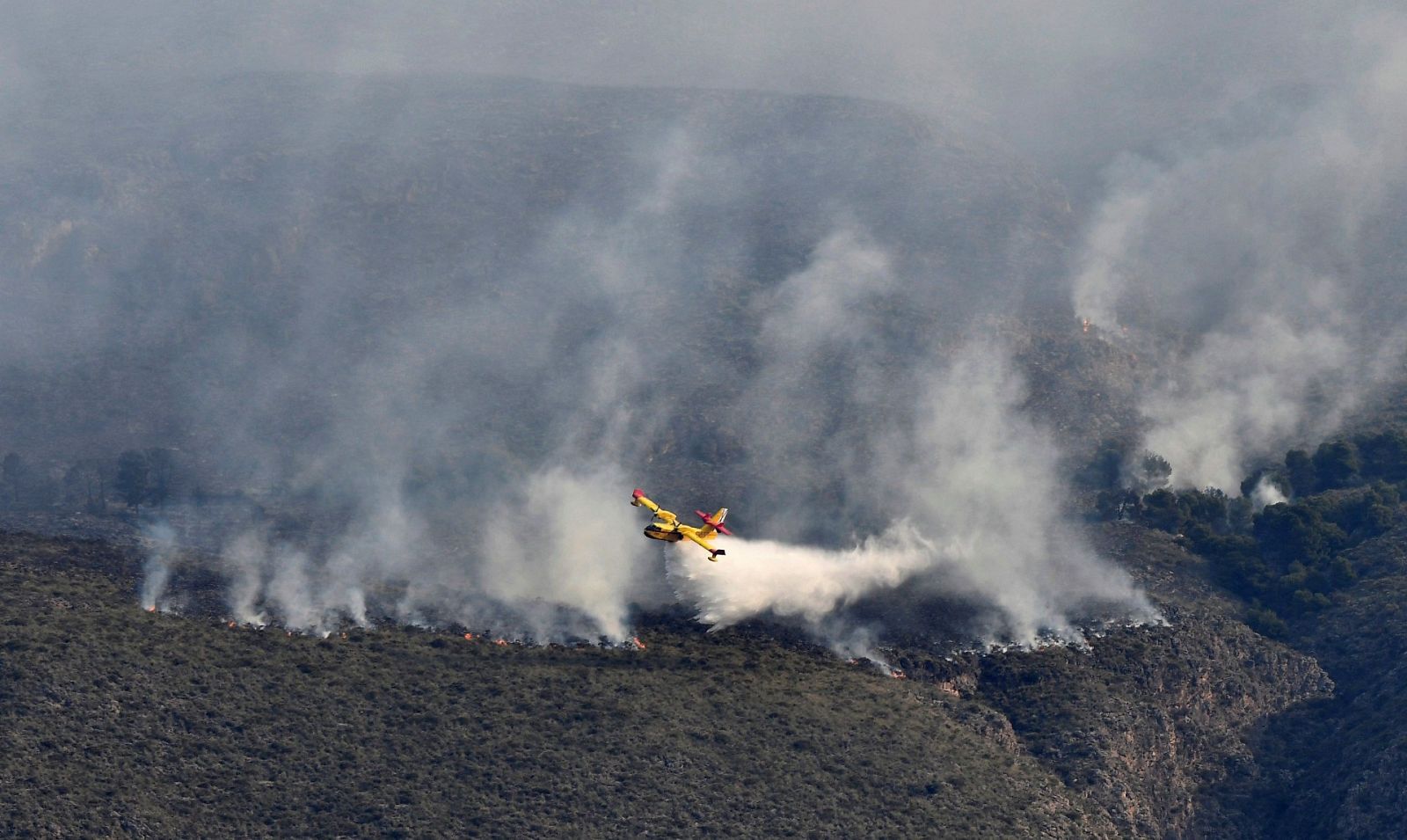 Sigue activo el incendio de Berja (Almería) que abarca un perímetro de 400 hectáreas