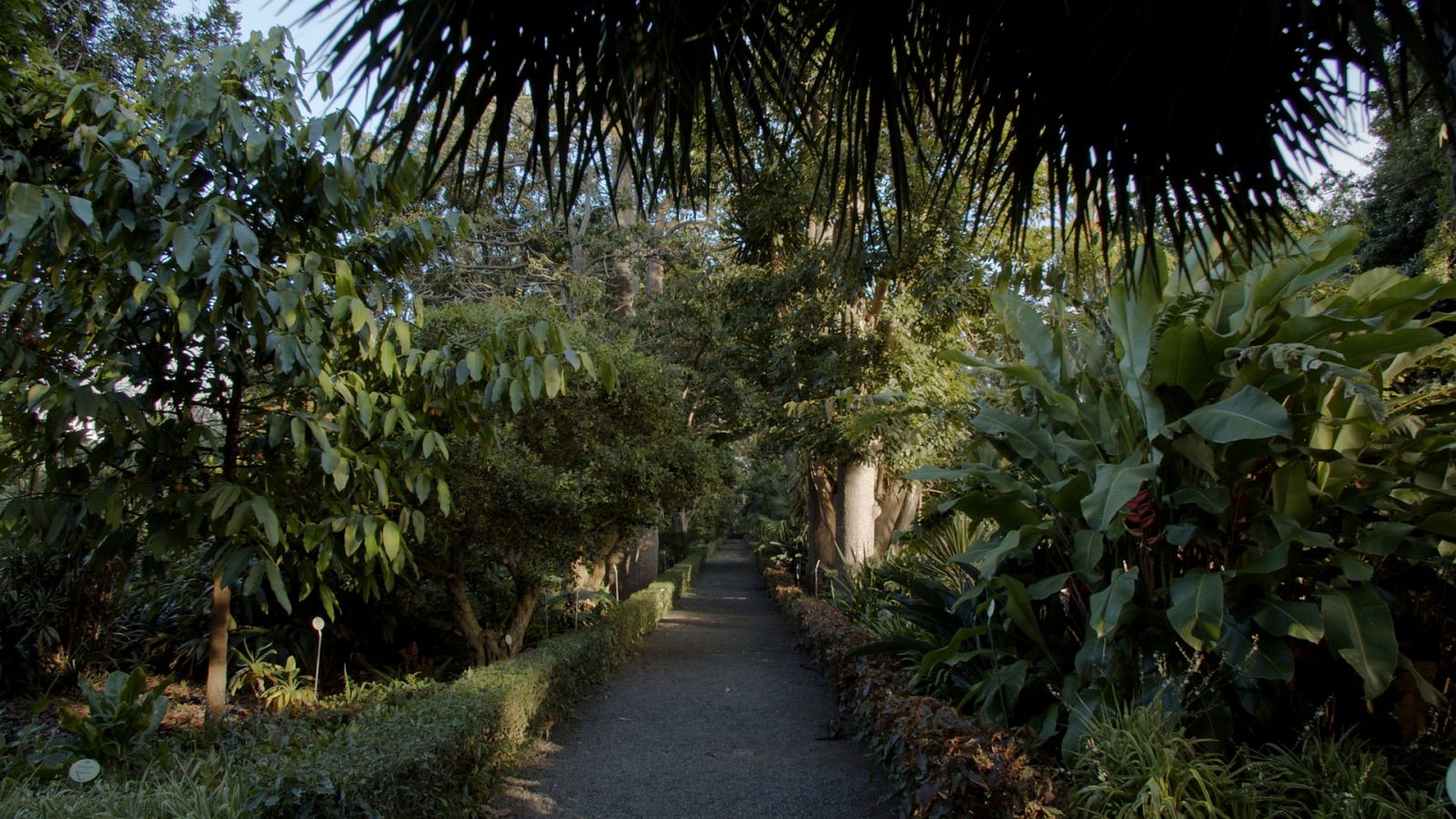 Jardines con historia - Tenerife: Jardín de aclimatación de La Orotava - RTVE.es
