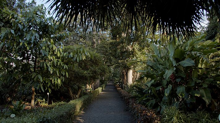 Tenerife: Jardín de aclimatación de La Orotava