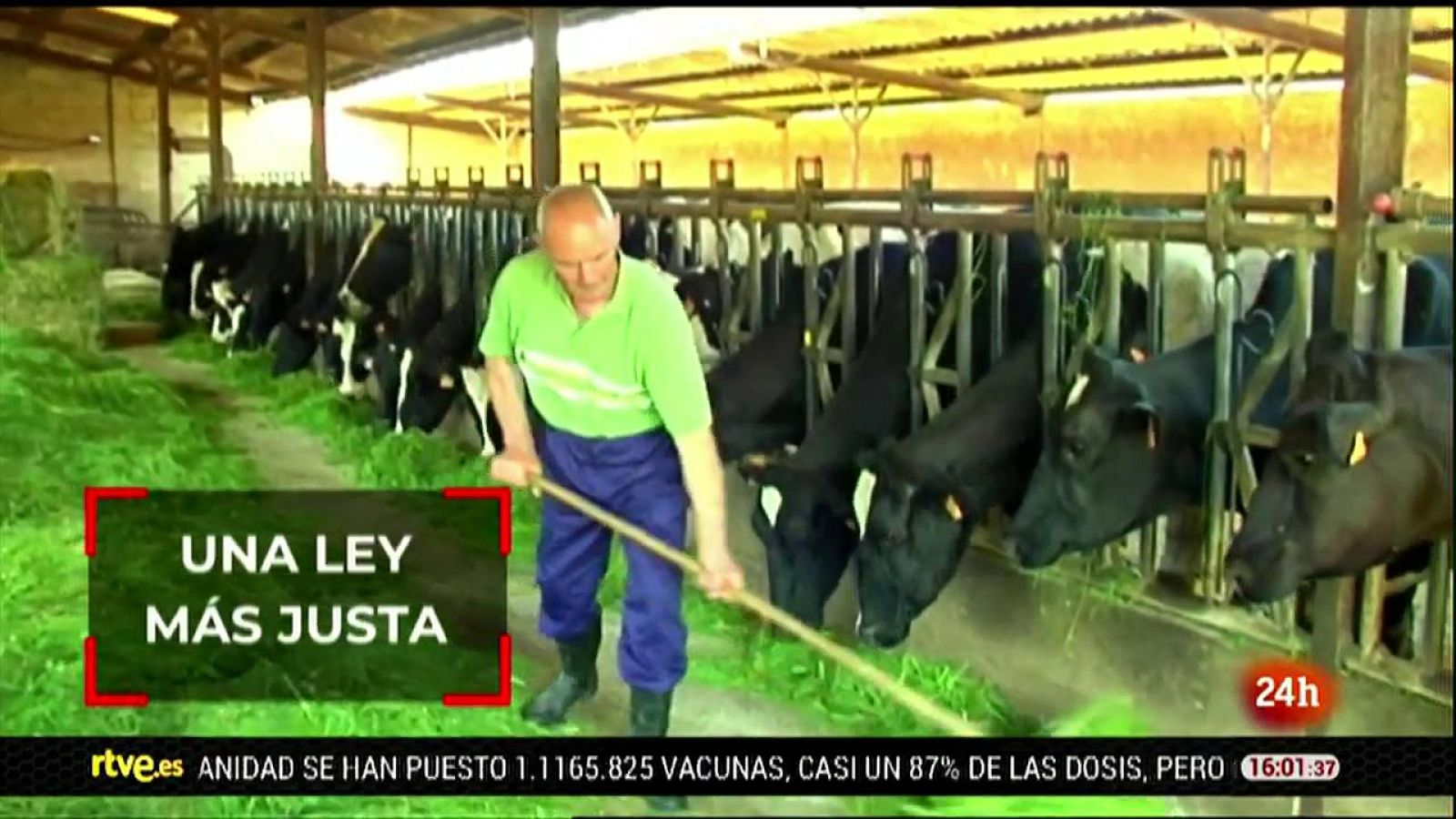 Parlamento - Parlamento en 3 minutos - 23/01/2021