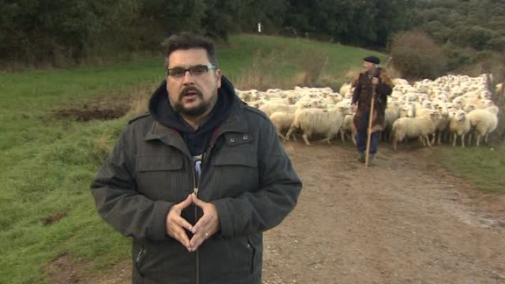 Repor - Oficios perros