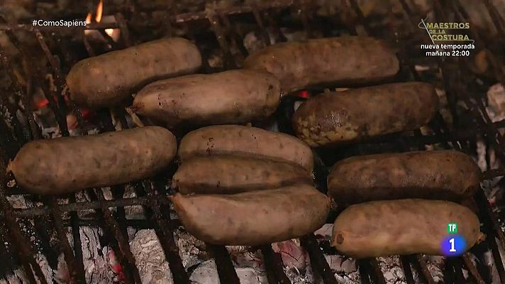 Como sapiens - ¿Cómo hacemos butifarró?