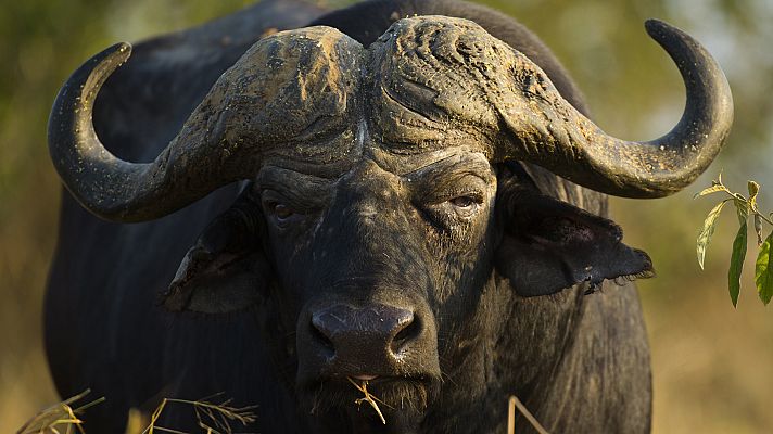 La carrera de la vida - Guerreros de la naturaleza