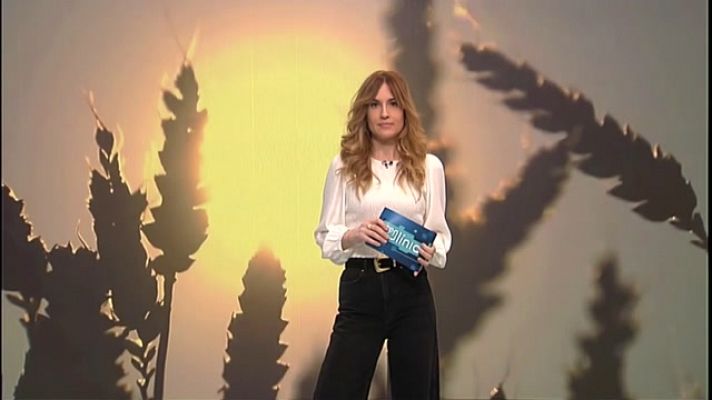 En Línia - Transgènics, implants intel·ligents i fiscalitat a Andorra