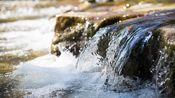 España Directo - España Directo - 26/01/21