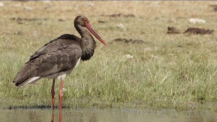 Red Natura 2000 - Programa 24