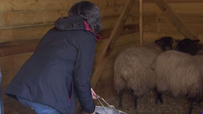 Cantabria podría albergar la primera Escuela de pastoras del Siglo XXI 