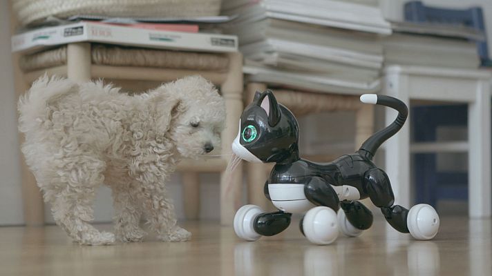 ¡AI, AI, AI! Inteligencia artificial (Versión Original)