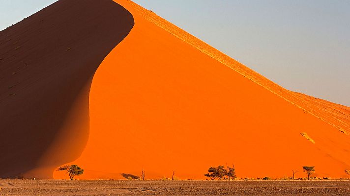 El árido Namib