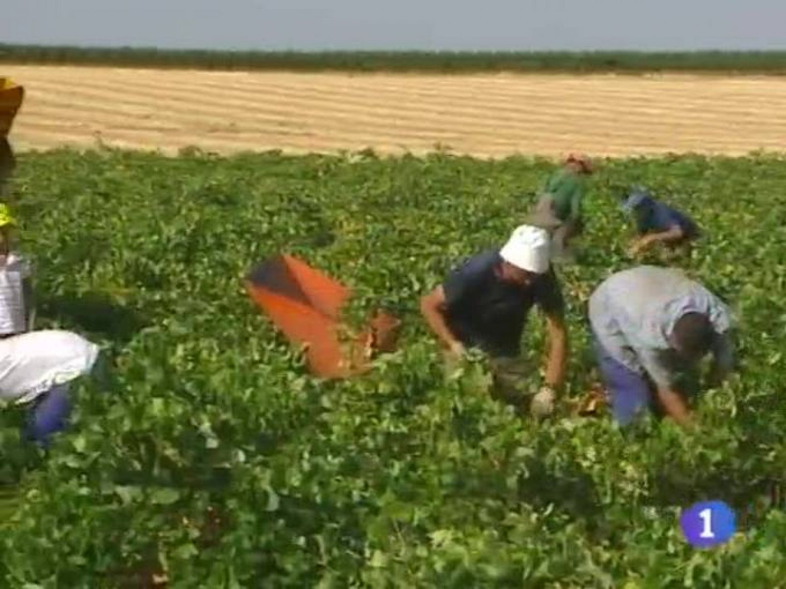 Noticias de Castilla La Mancha. Informativo de Castilla La Mancha. (02/09/09).