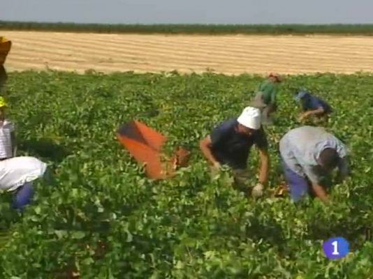 Noticias de Castilla-La Mancha - Noticias de Castilla-La Mancha - 02/09/09