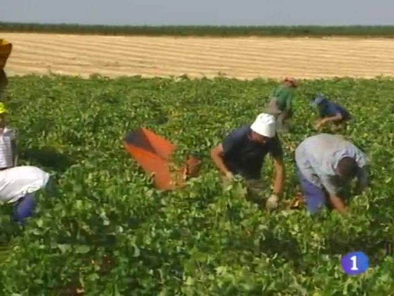  Noticias de Castilla La Mancha. Informativo de Castilla La Mancha. (02/09/09).