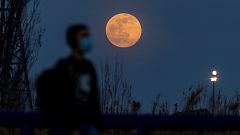 España Directo - 28/01/21