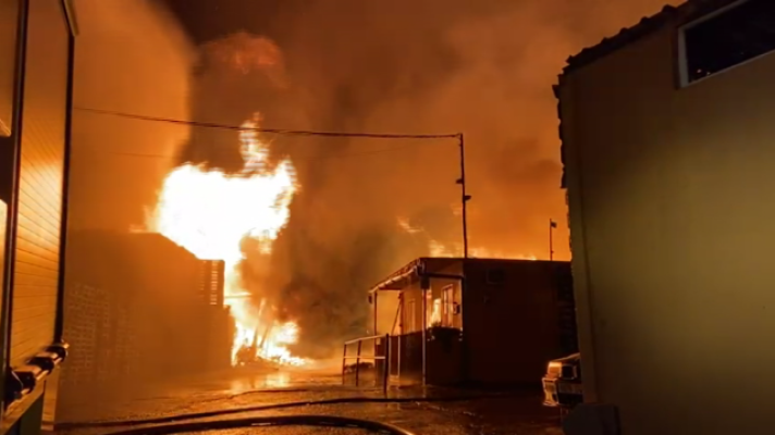 Telecanarias - TELECANARIAS 2 - 28/01/2021