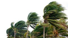 España Directo - 29/01/21