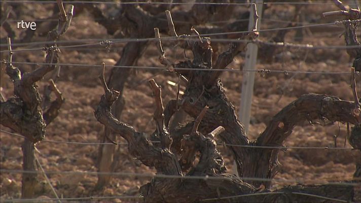 Agrosfera - Agrosfera - 30/01/21