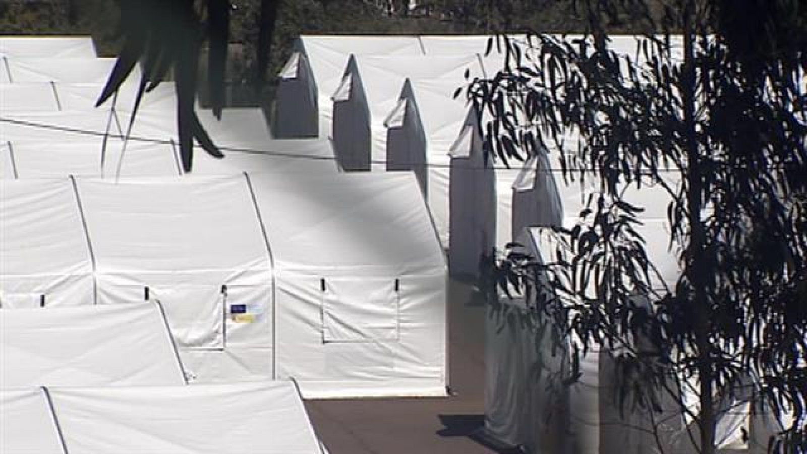 Canarias en 2' - 01/02/2021