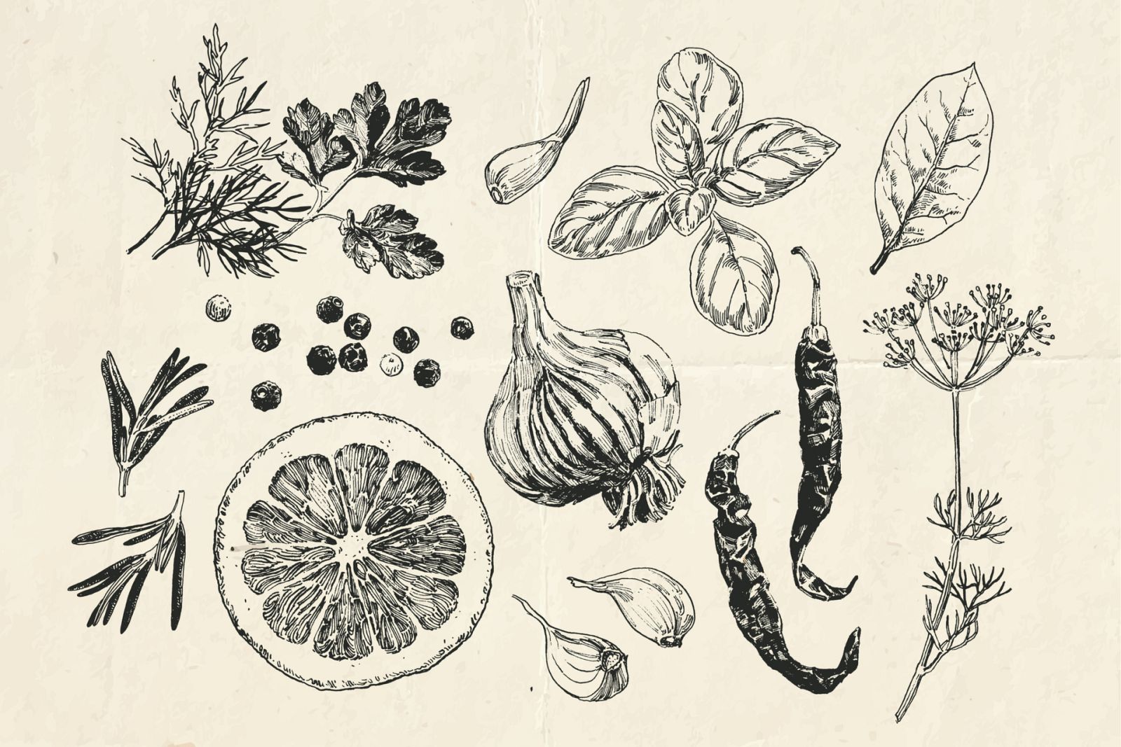 Aquí la Tierra - Romero, remolacha, cebolla... ¿qué remedios contra el catarro guardan las abuelas?