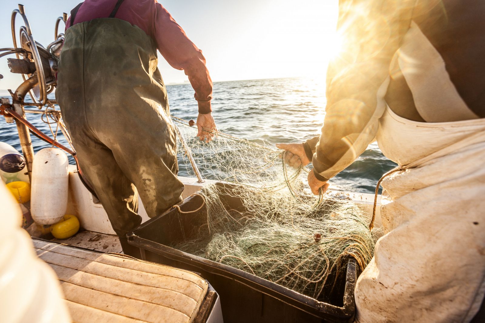 Se recogen plásticos marinos en la lonja de Almería