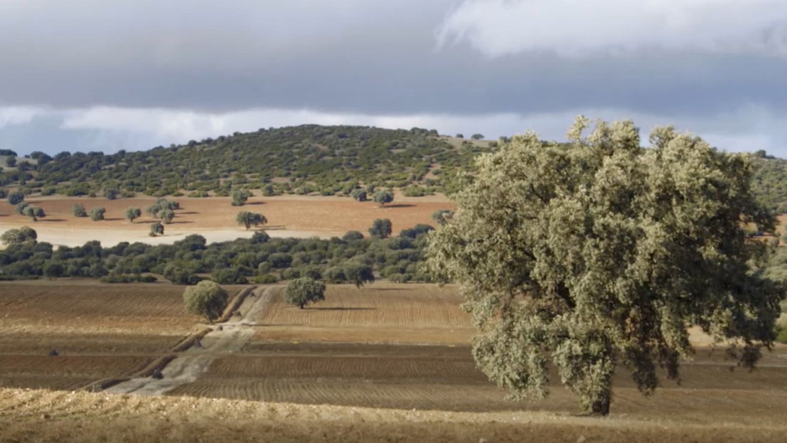 Red Natura 2020 - Programa 27 - ver ahora