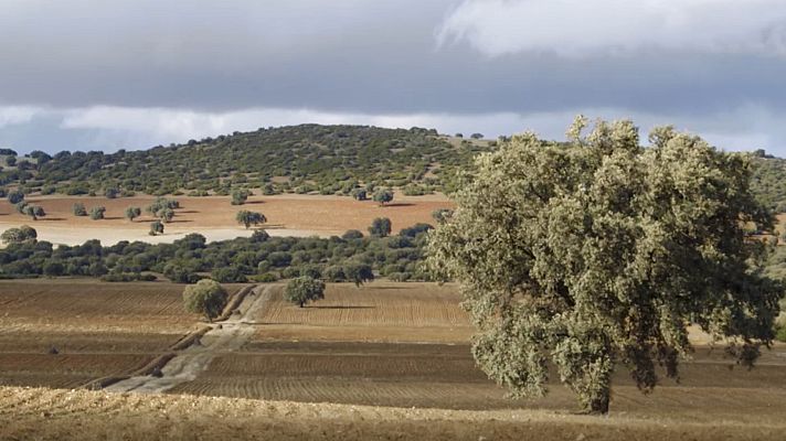 Red Natura 2000 - Programa 27