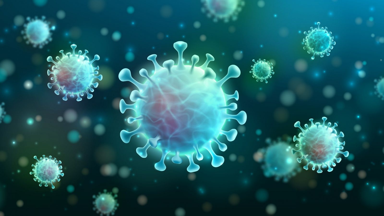 ¿Qué es un virus y cómo funciona?