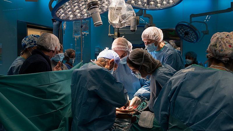 Trasplante de útero: el hito médico y el debate ético