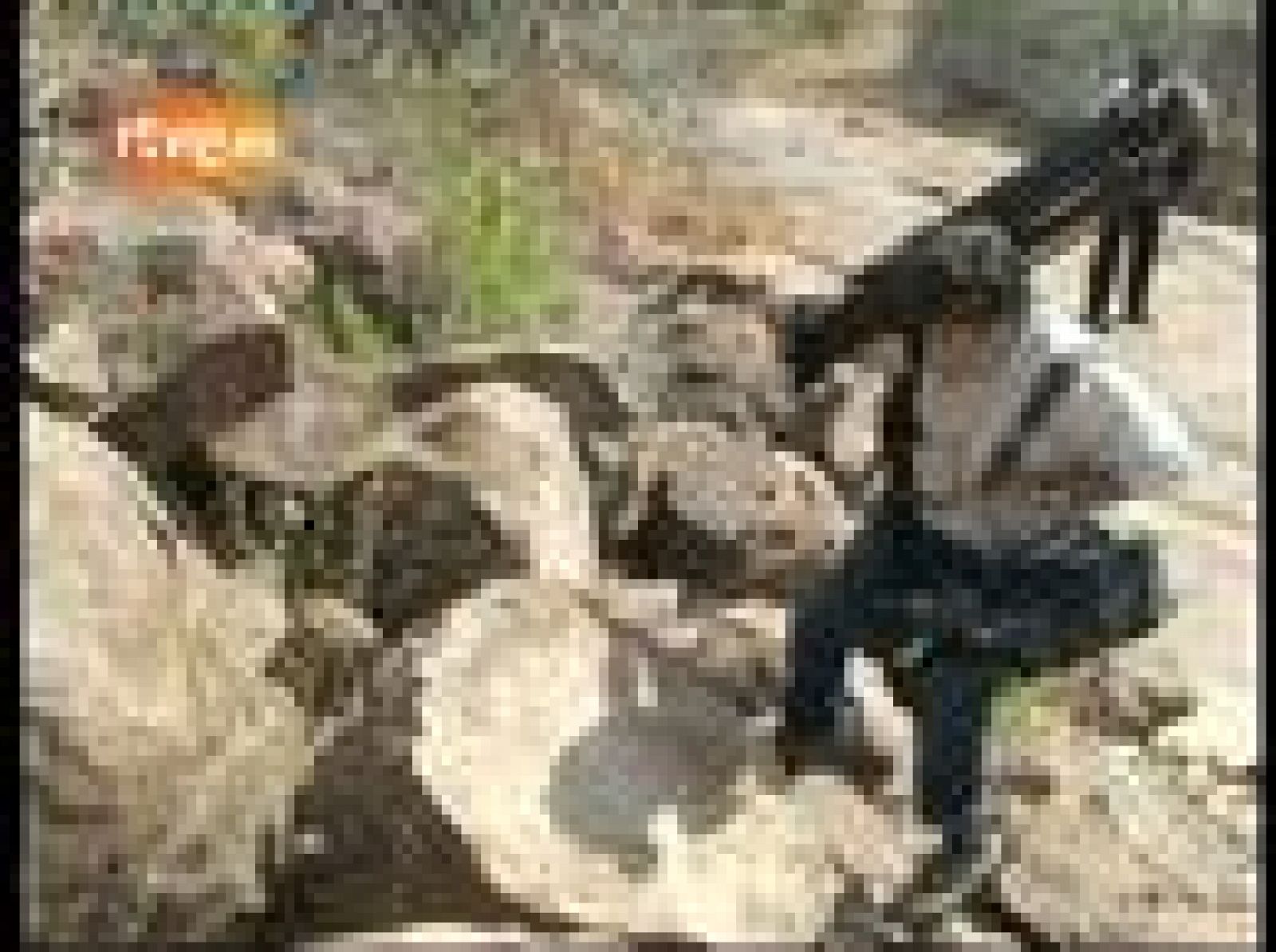 En Portada. Viaje a la finca de Mugabe. Making of