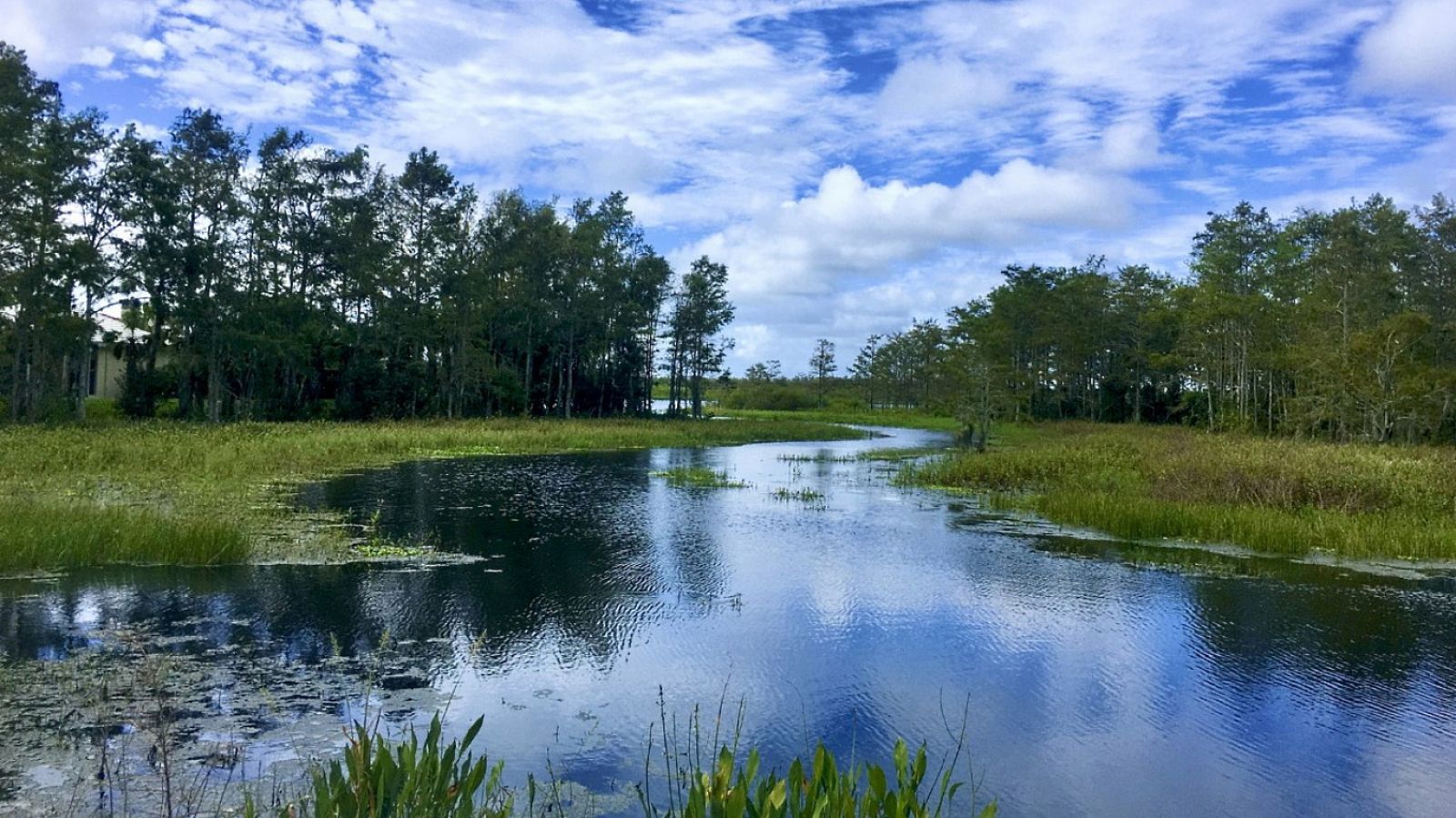 España Directo - 02/02/21 - ver ahora