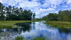 España Directo - 02/02/21