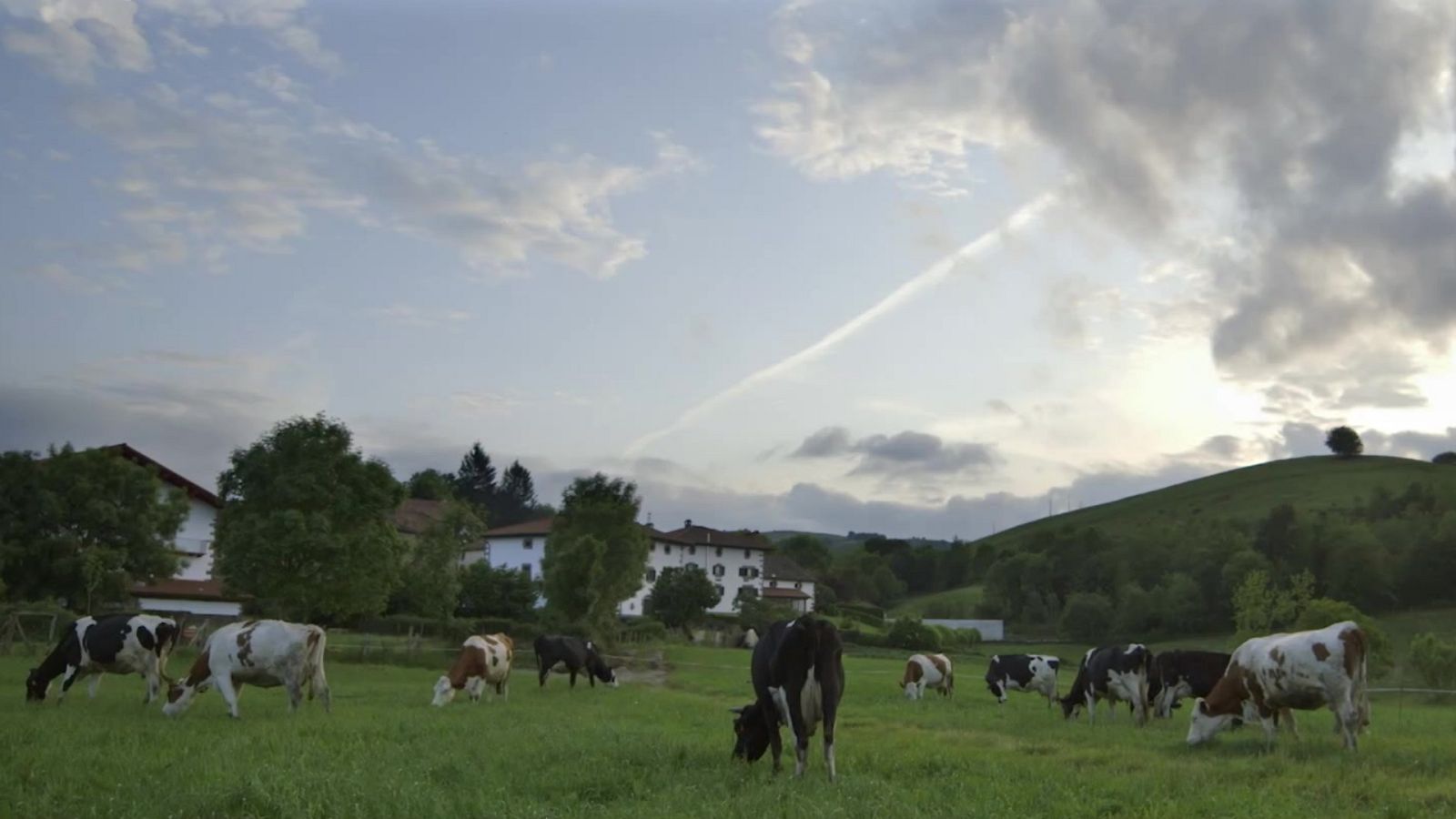Red Natura 2000 - Programa 28 - ver ahora